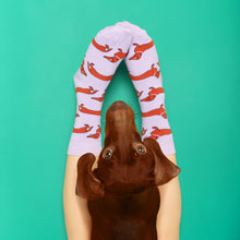 Lade das Bild in den Galerie-Viewer, Coucou Suzette Socken